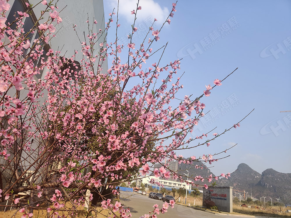 桂林鸿程花团锦簇，满园春色，邀您一起共赏春景，共商大计！